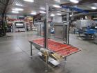 2013 Pizzamatic Band Conveyor